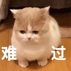 DƬ